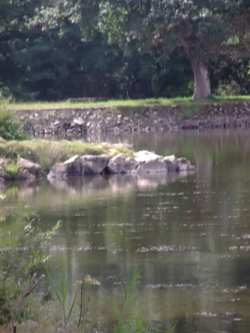 au bord de l eau