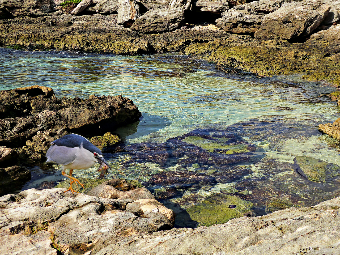 au bord de la caleta