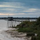 Au bord de la Gironde