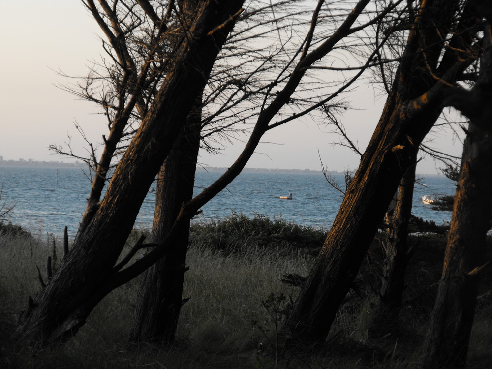 Au bord de la mer...