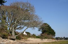 " Au bord de la Mer Blanche "