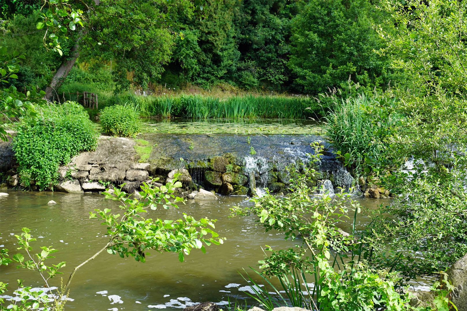 Au bord de la rivière....