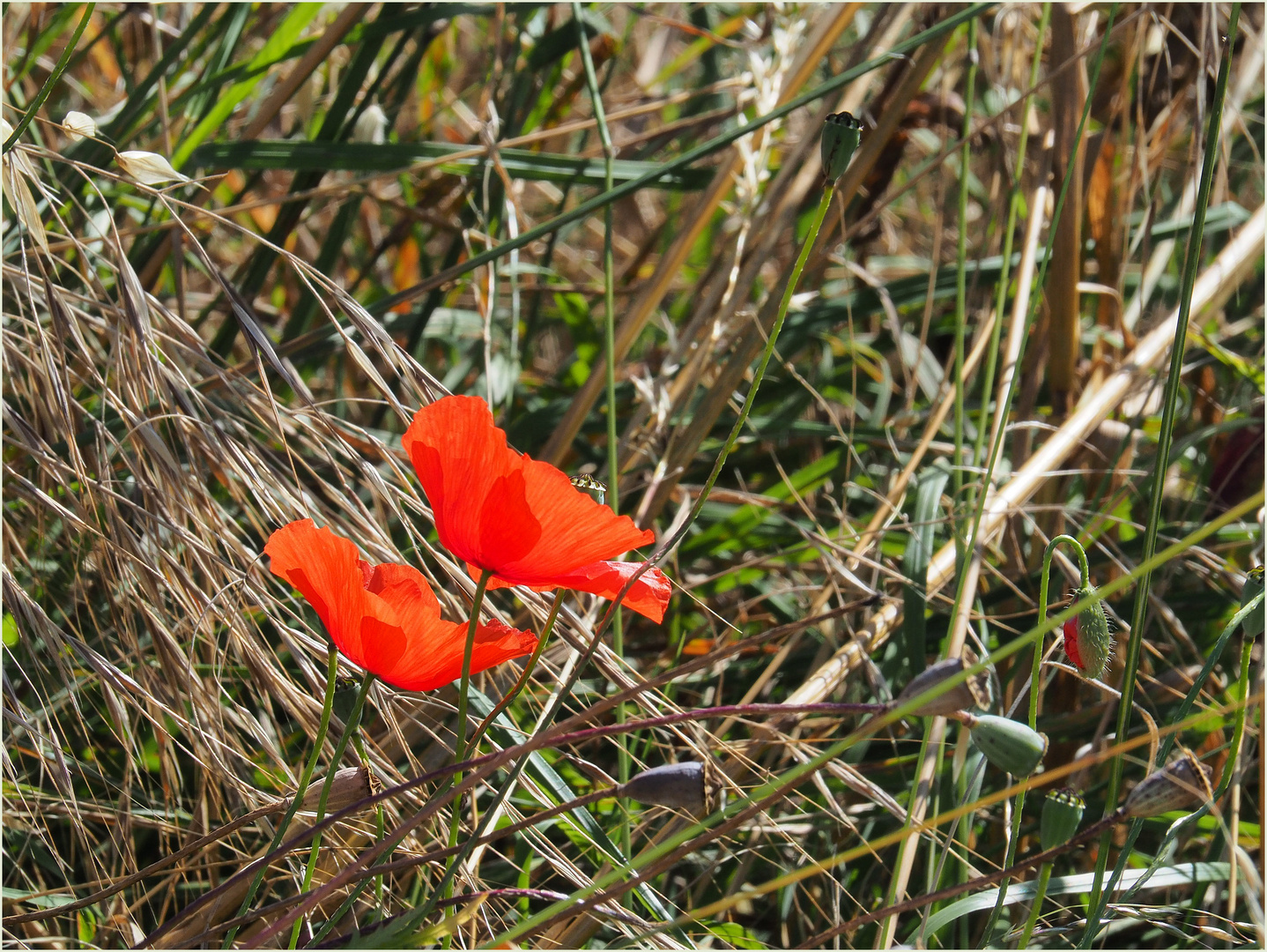 Au bord de la route