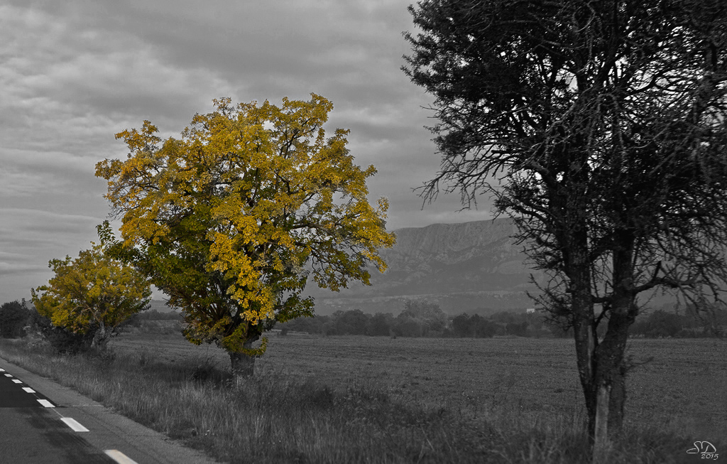 Au bord de la route