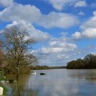 ... au bord de la Saône !!!...