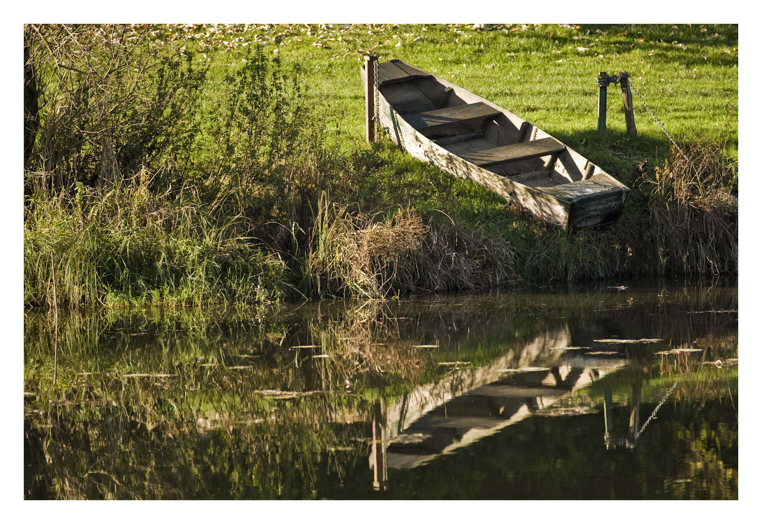 au bord de la saône.......