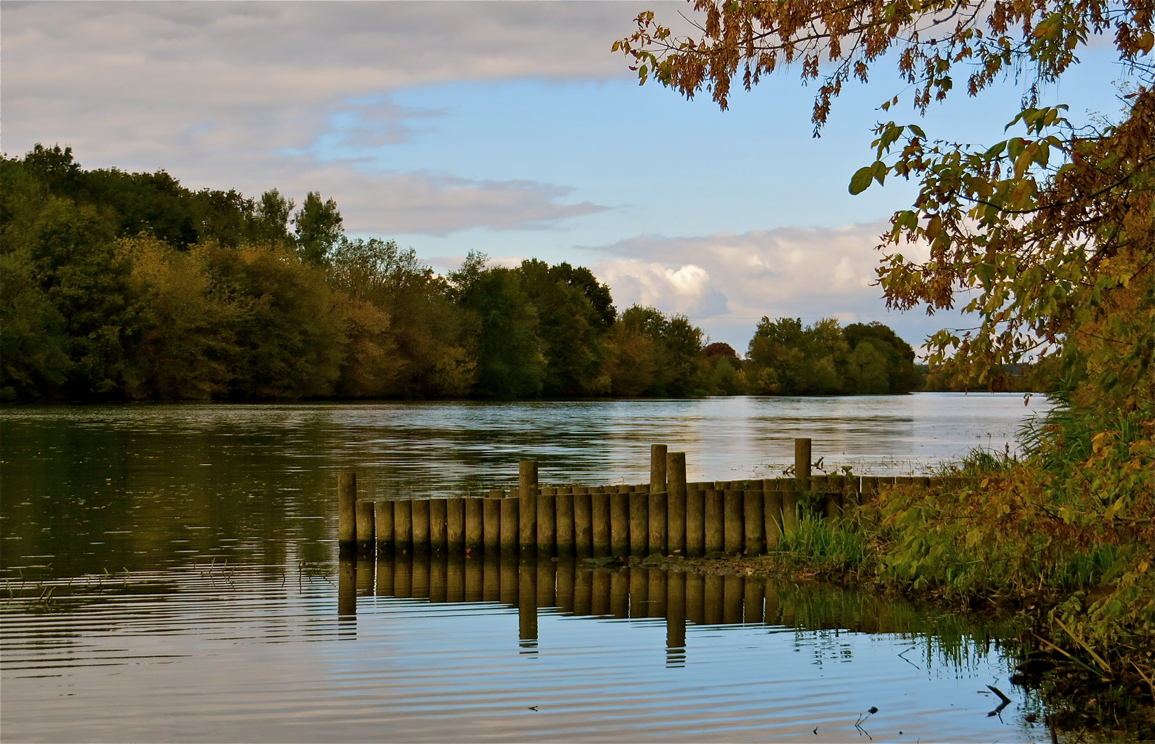 ---au bord de la Saône !!!...