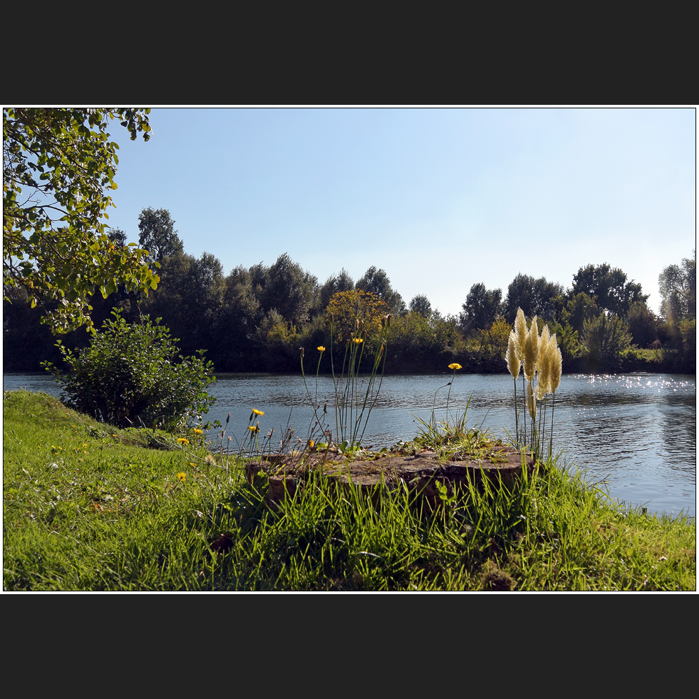 Au bord de la Seine ··