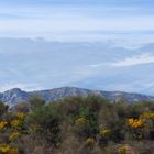 Au bord de l’autoroute A8 en Provence