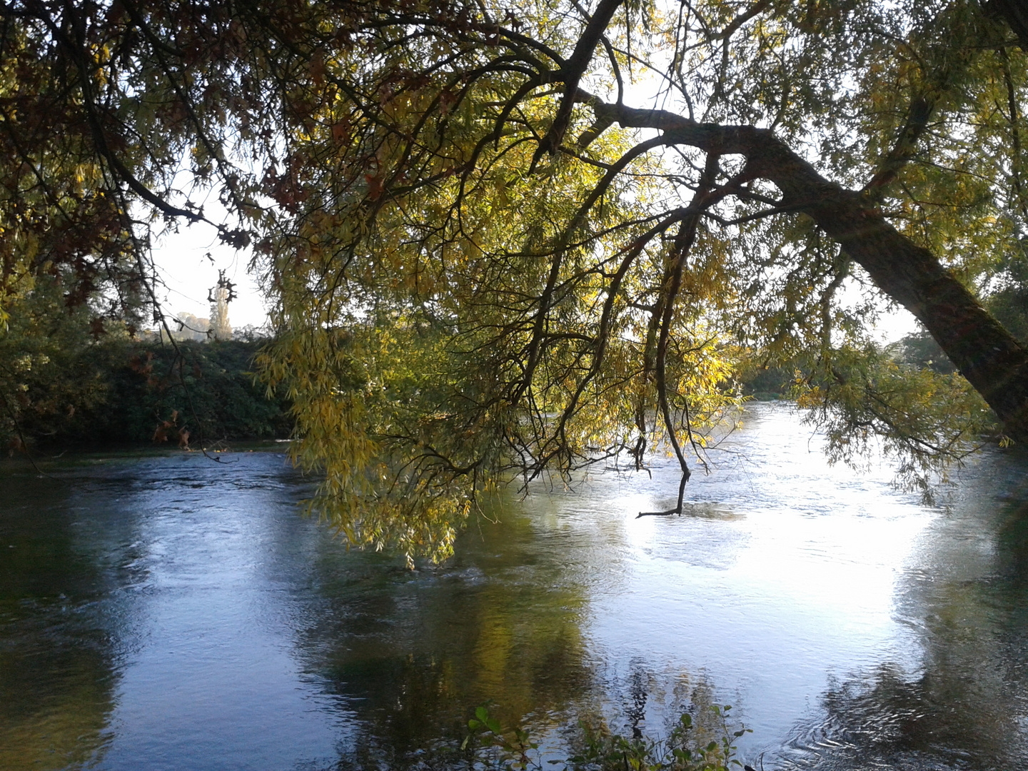 au bord de l'eau