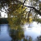 au bord de l'eau