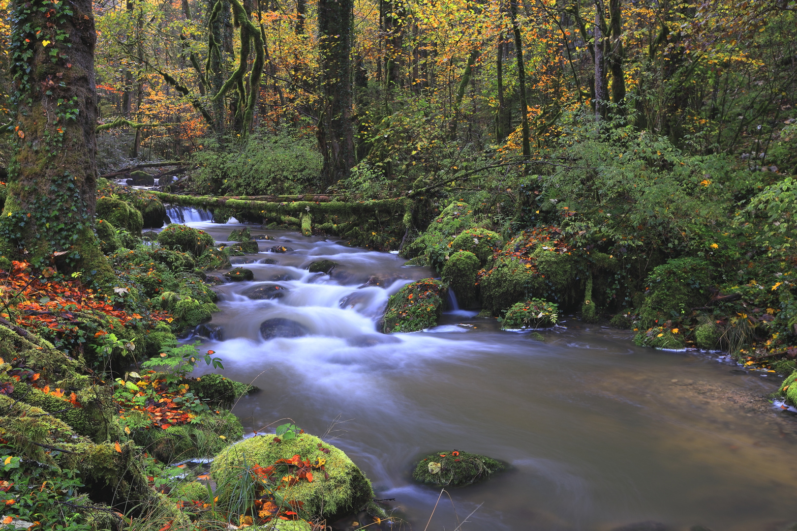 Au bord de l'eau,