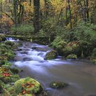 Au bord de l'eau,