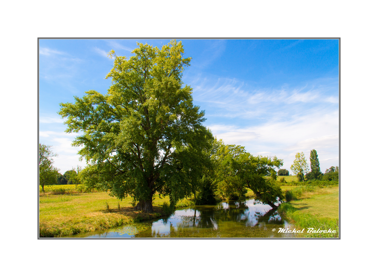 Au bord de l'eau (2)