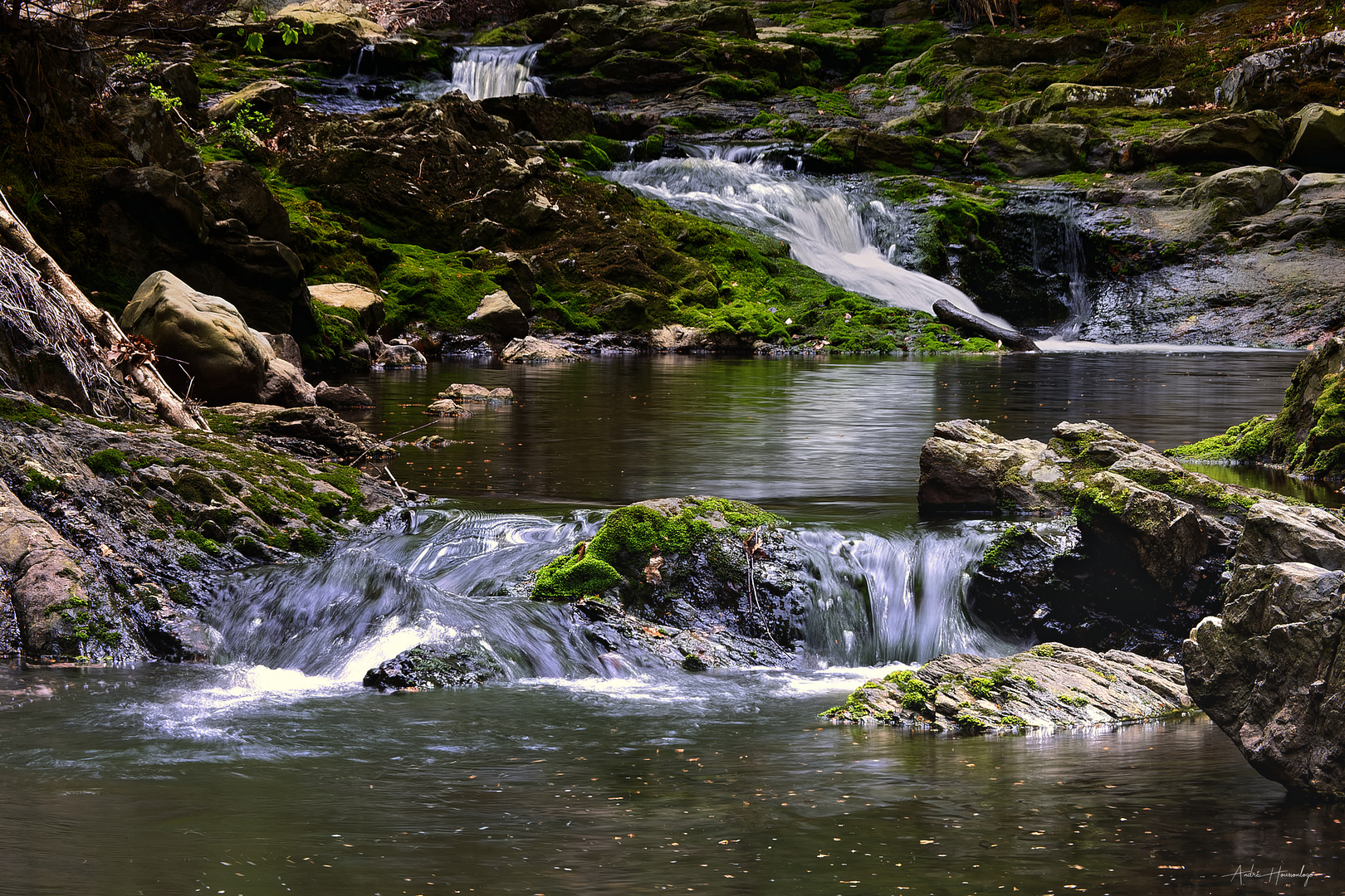 Au bord de l'eau