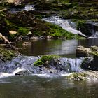 Au bord de l'eau