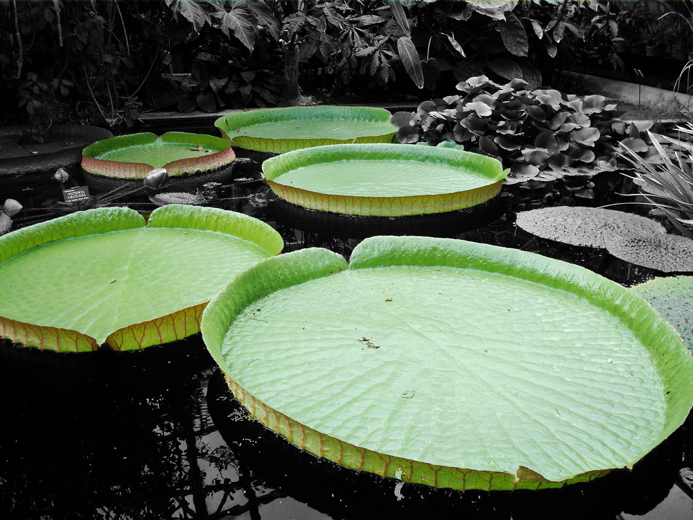 Au bord de l'eau