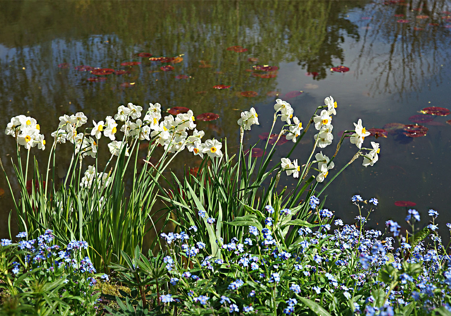 Au bord de l'eau ...