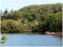 Au bord de l'eau