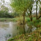 au bord de l'eau