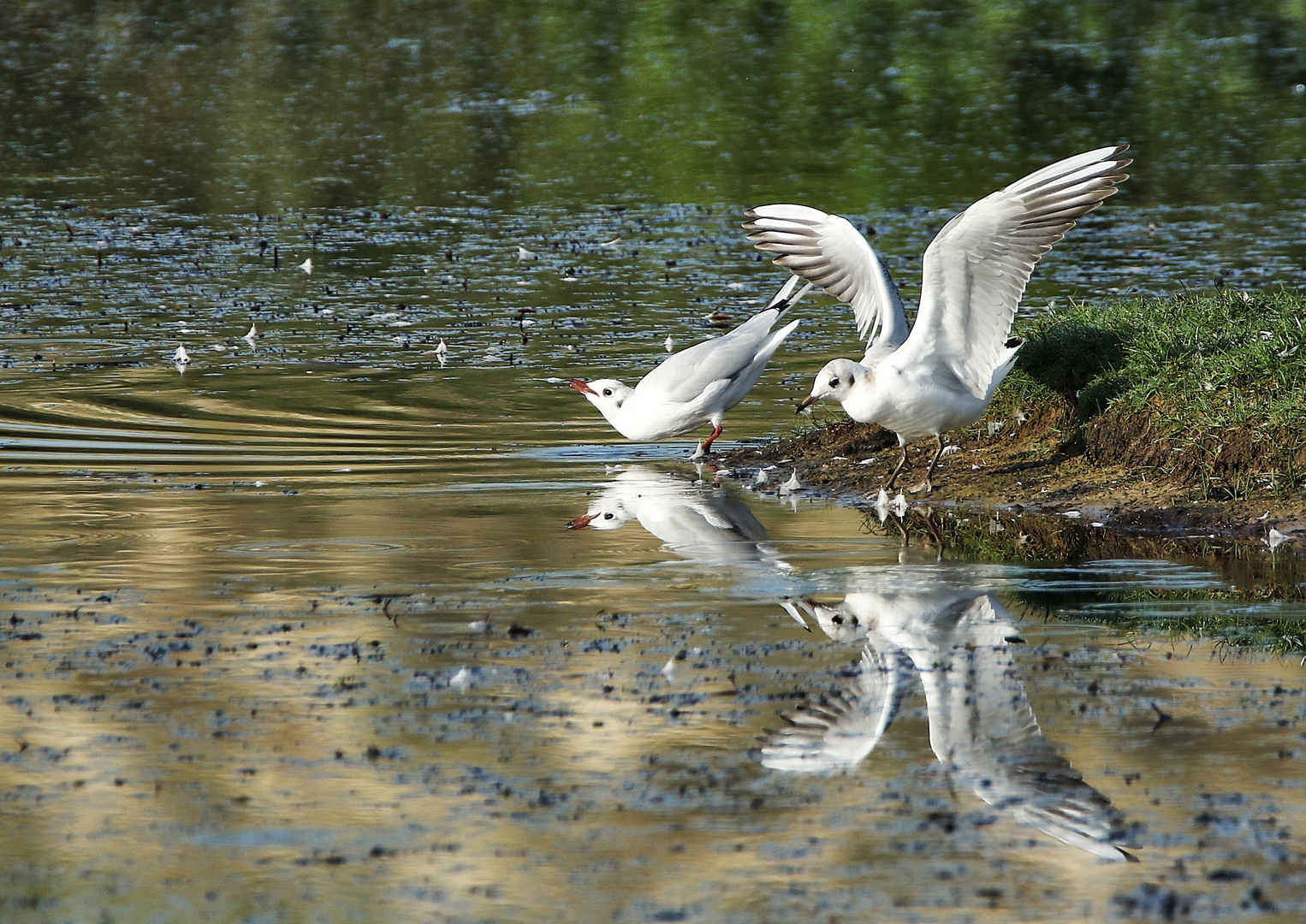 au bord de l'eau !