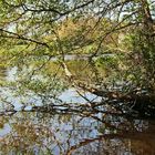 au bord de l'eau 