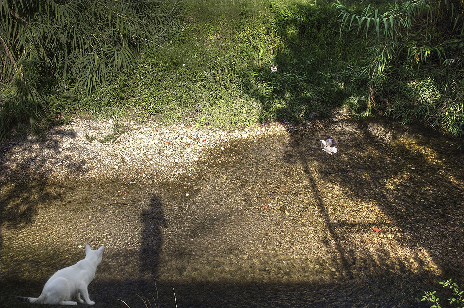 Au bord de l'eau