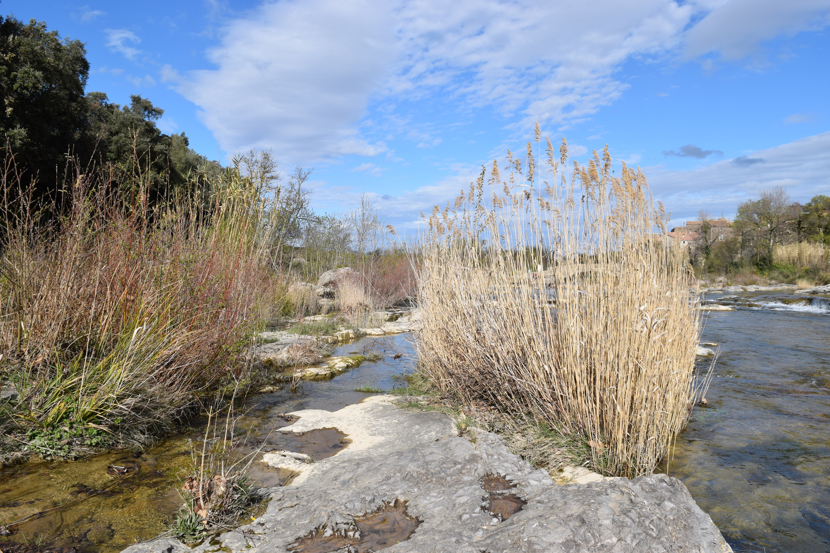 Au bord de l'eau 