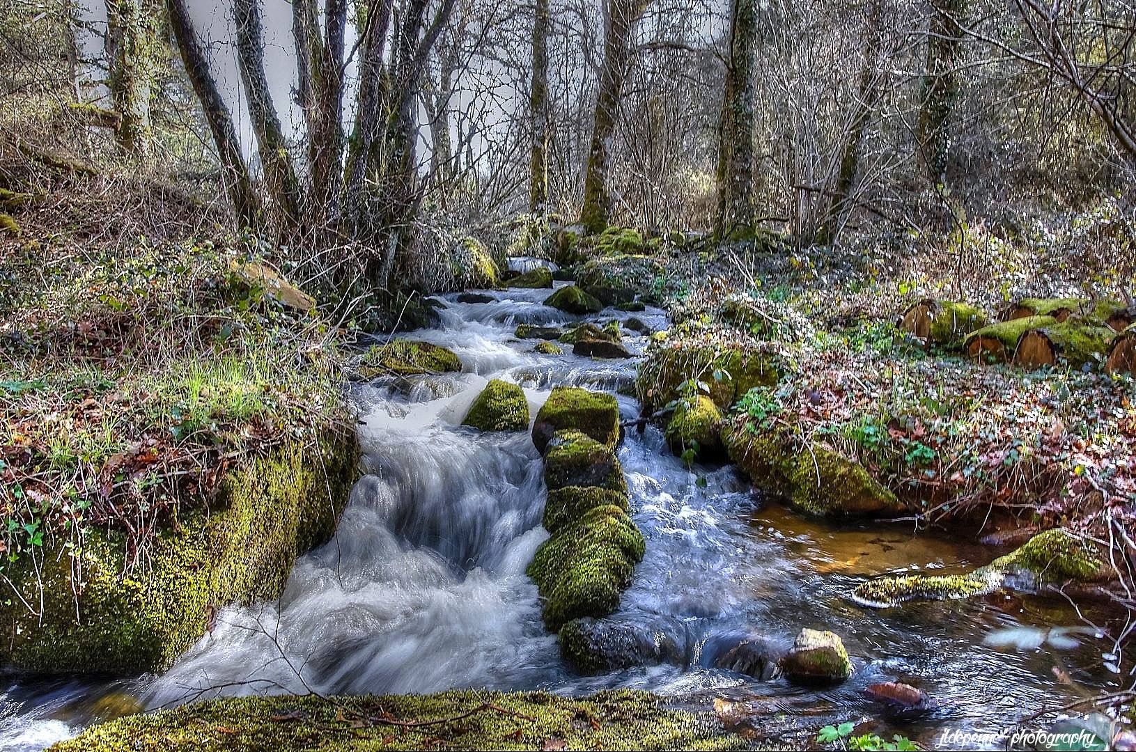 Au bord de L'eau en Automne 