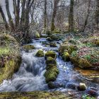 Au bord de L'eau en Automne 