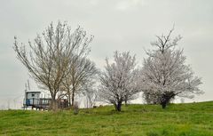 Au bord de l'estuaire de la Gironde