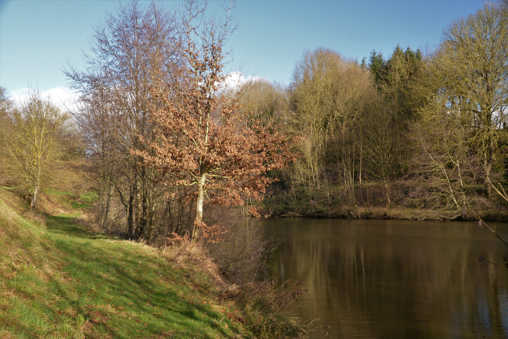 Au bord de l'étang