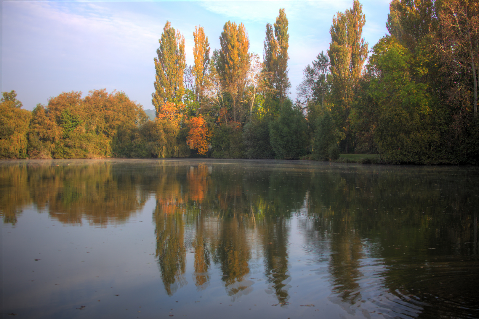 Au bord de l'étang