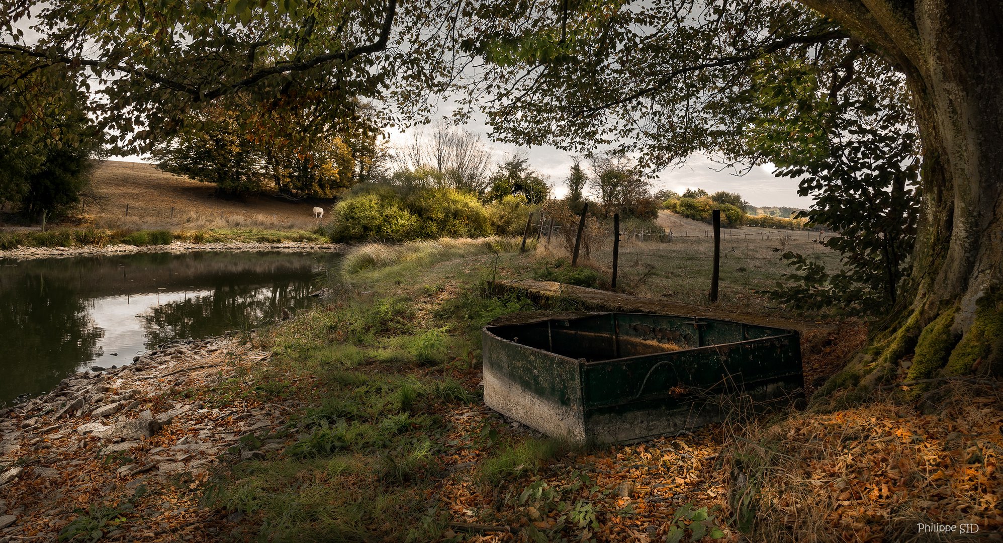 AU BORD DE L'ETANG DE CHAMBRONCOURT