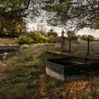 AU BORD DE L'ETANG DE CHAMBRONCOURT