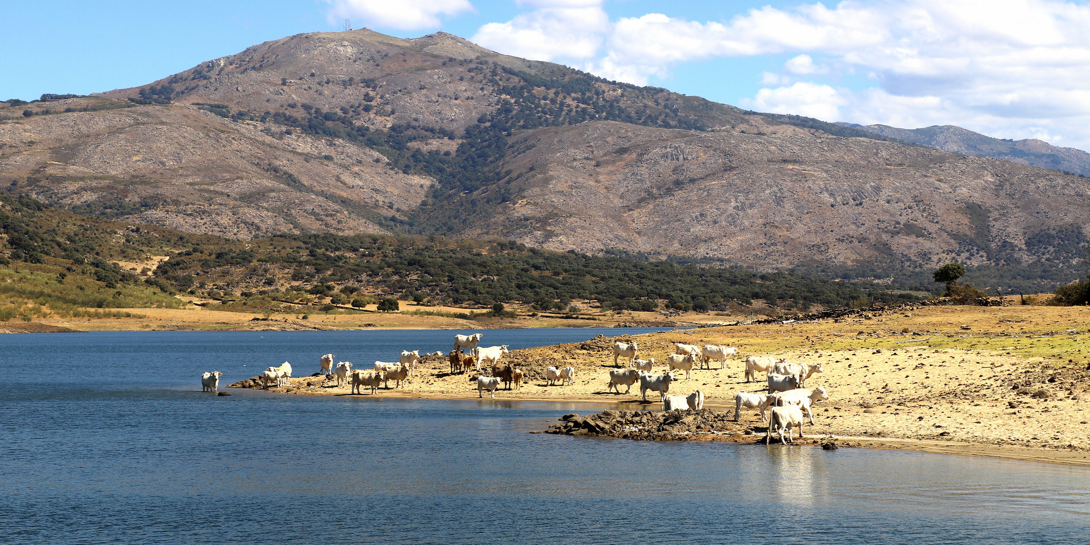 au bord du barrage de Plasencia