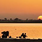 Au bord du fleuve Niger, Mali.Novembre 2009