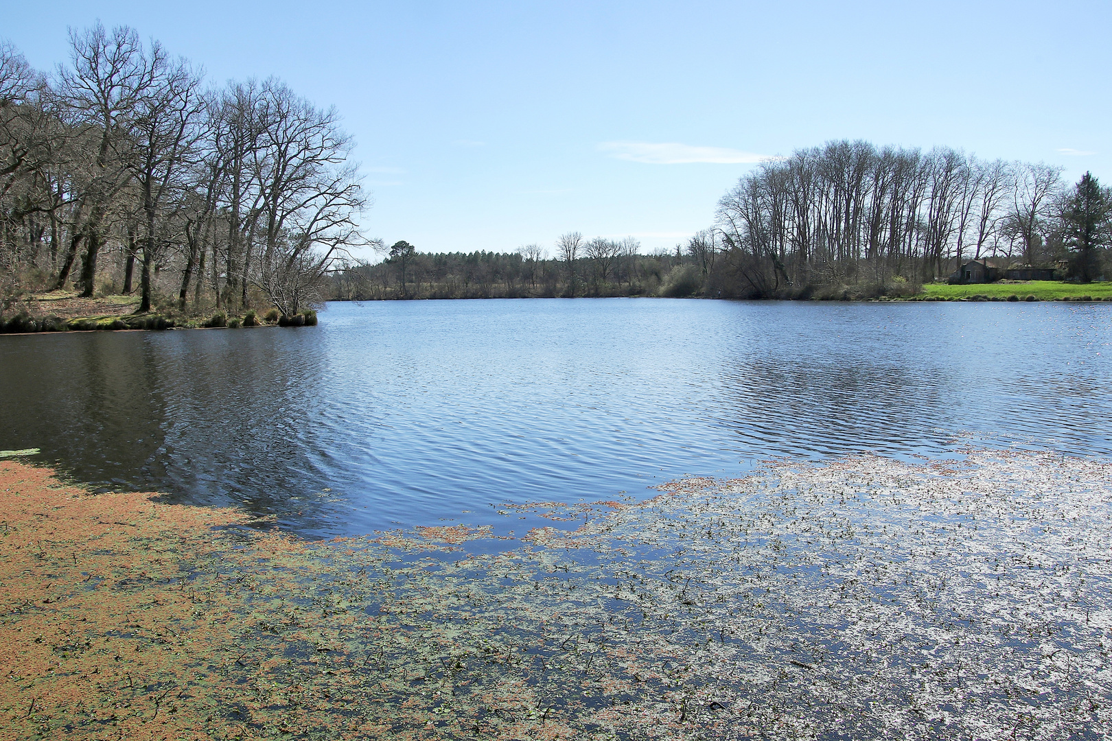 Au bord du lac !