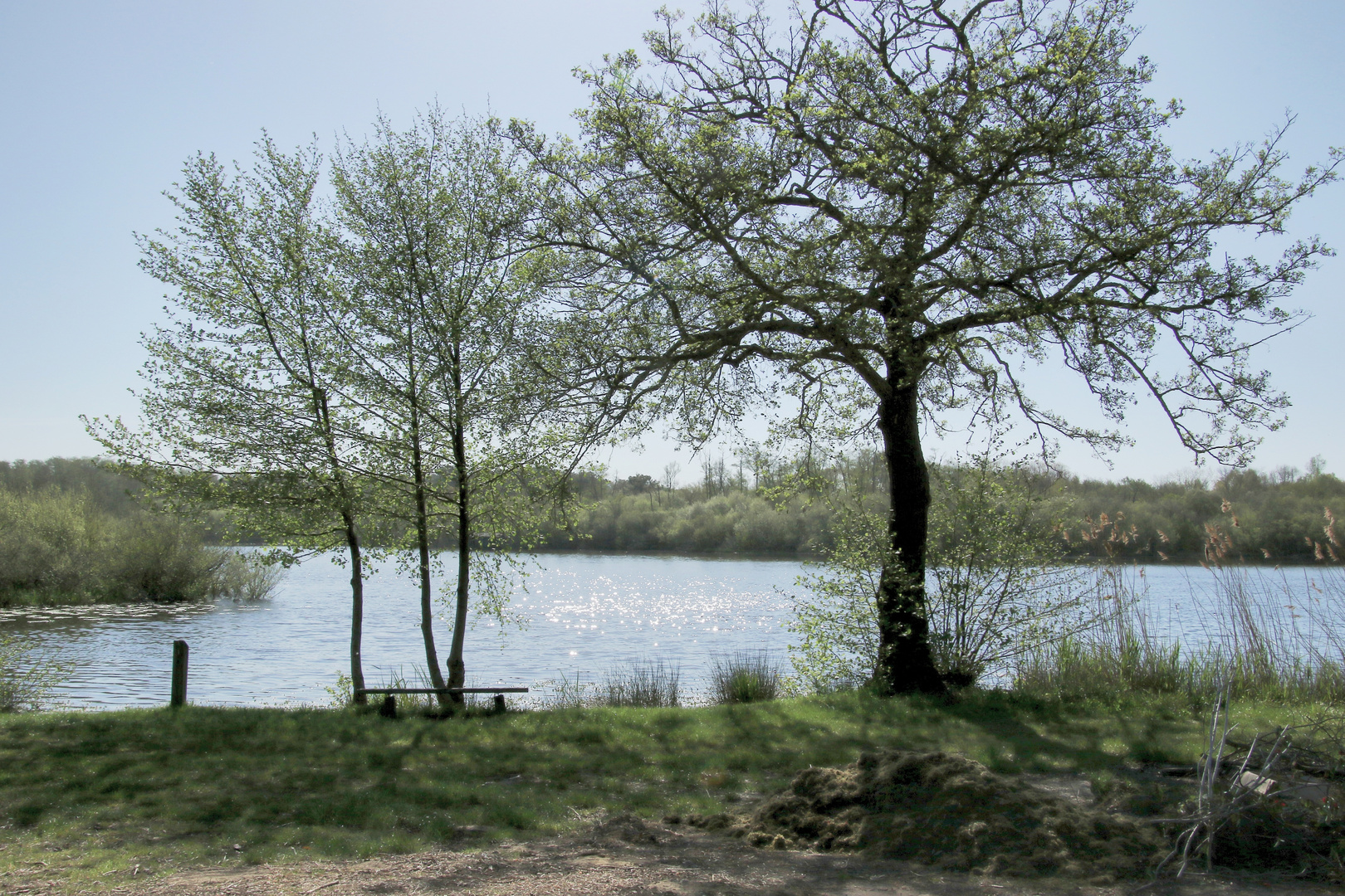 au bord du lac !