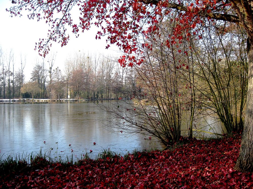  au bord du lac 