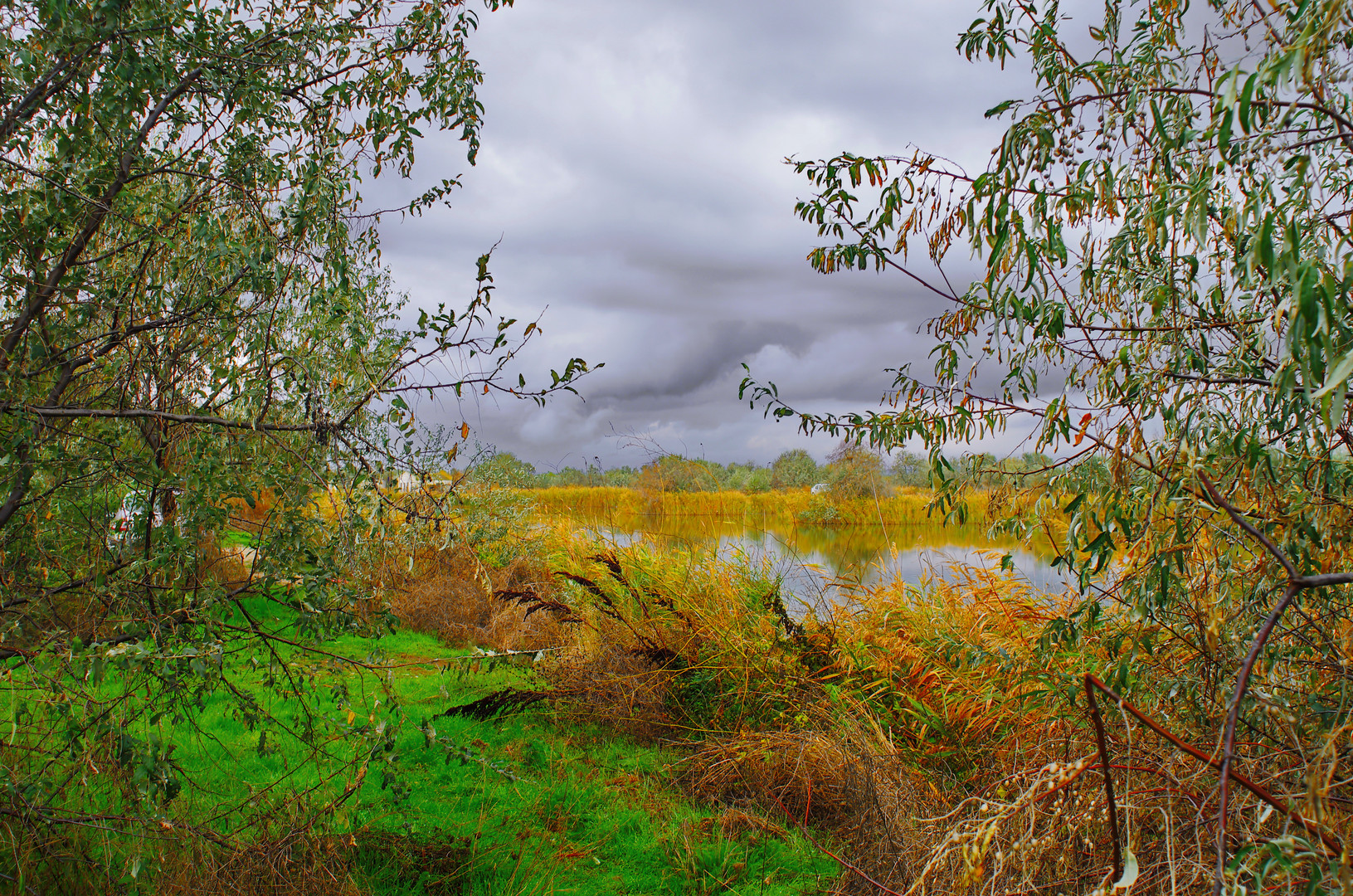 Au bord du lac