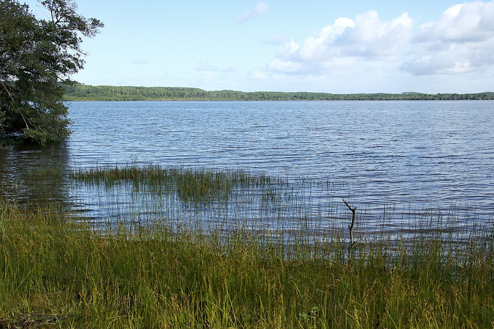 au bord du lac !