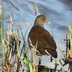 au bord du lac .....