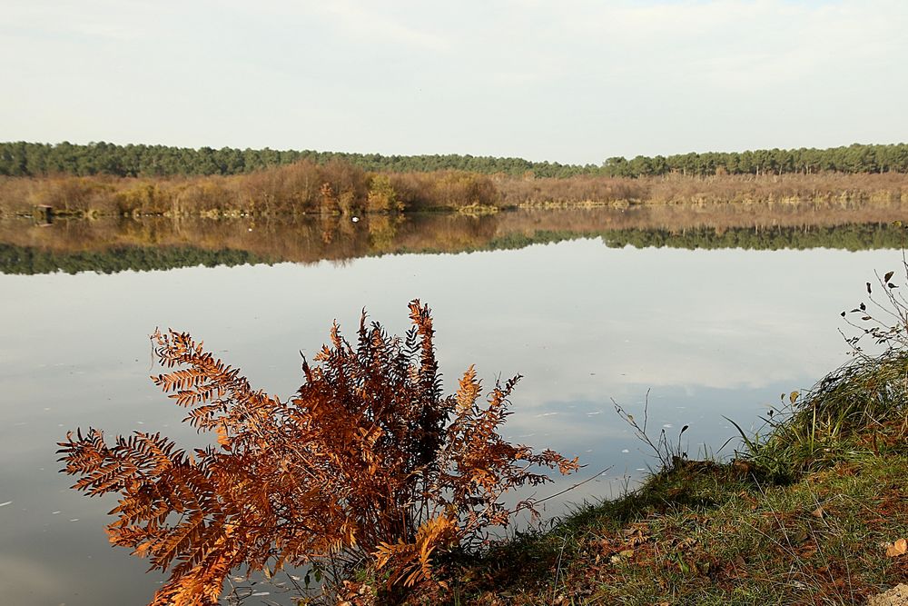 Au bord du lac !!