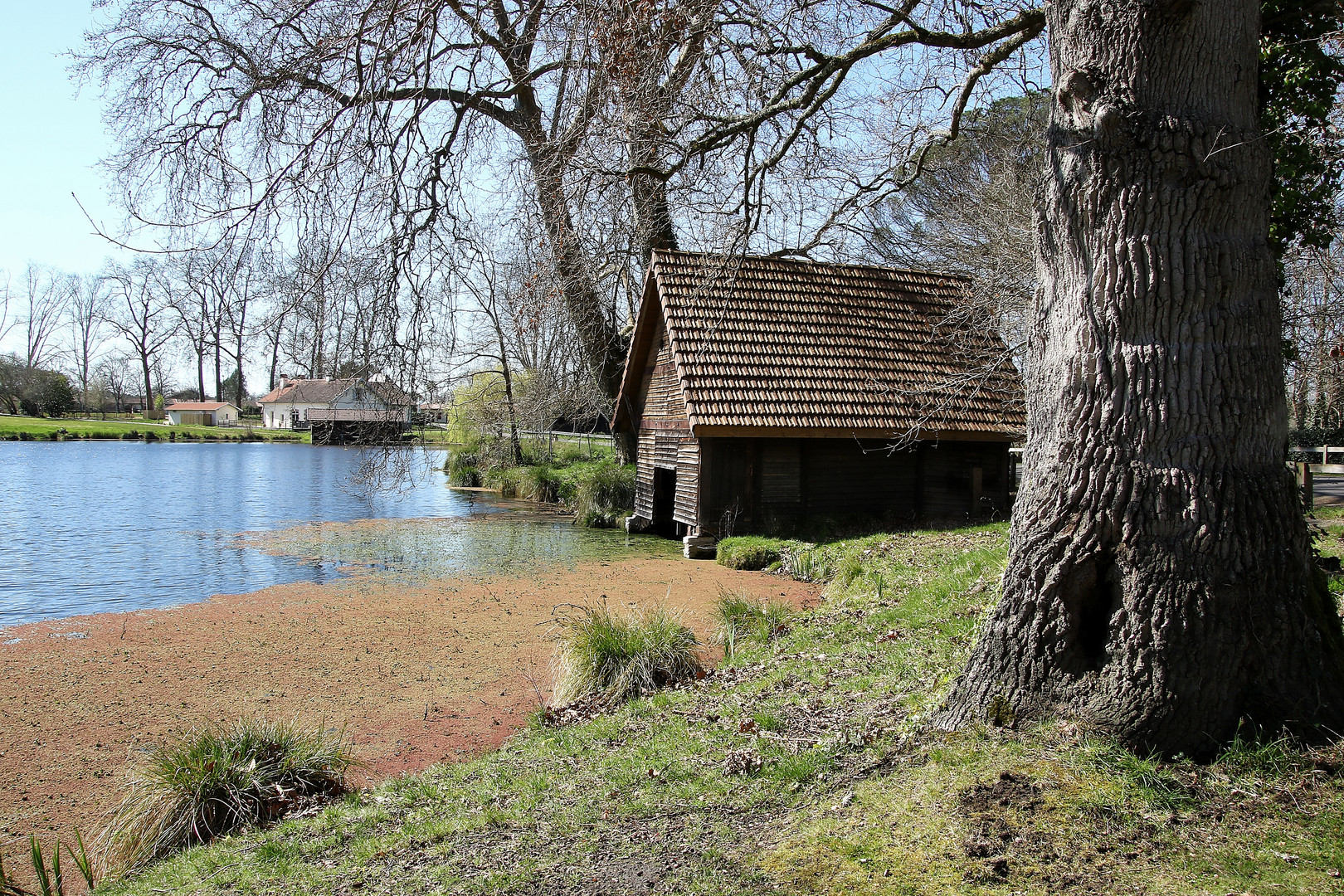 Au bord du lac !