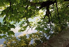 au bord du lac au frais des maronniers...