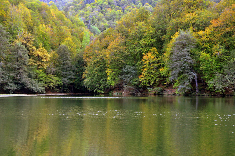 Au bord du lac