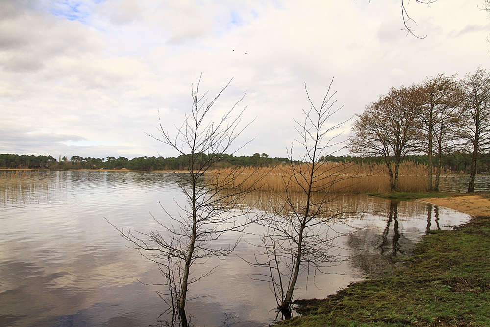 au bord du lac !