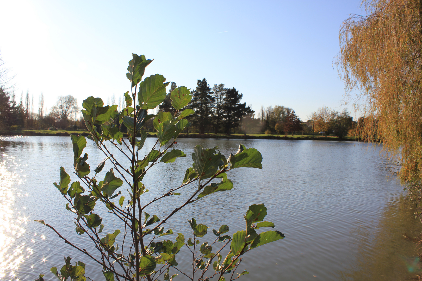 Au Bord du Lac