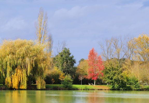 Au bord du lac de Mauvezin